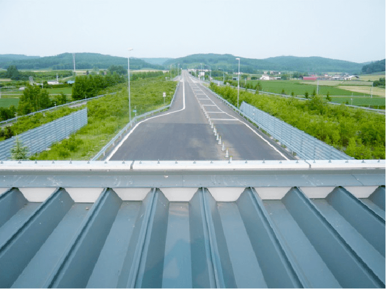 鳥害対策で建物を守る